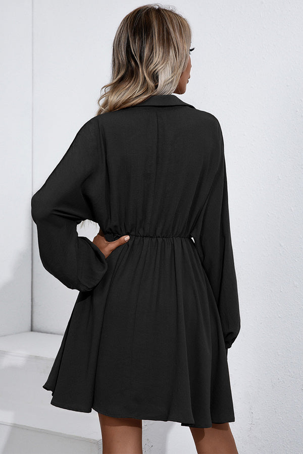 Long Sleeve Tie Waist Ruffled Mini Dress