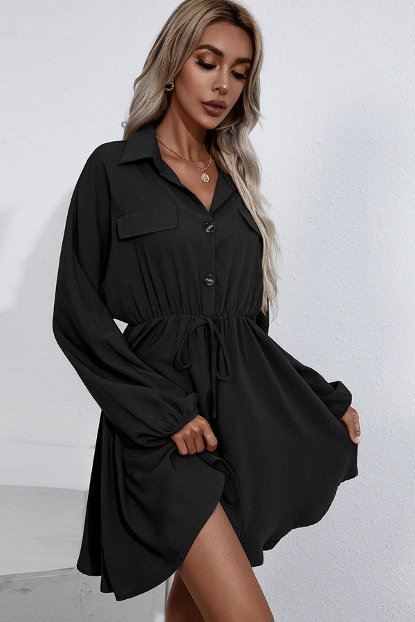 Long Sleeve Tie Waist Ruffled Mini Dress