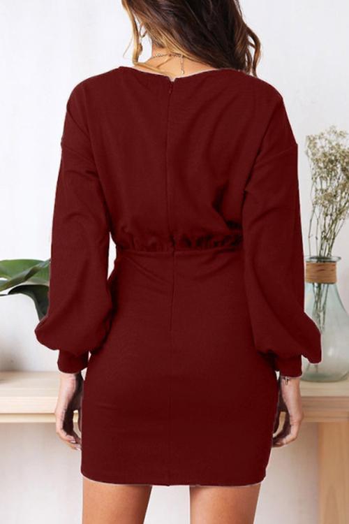 Hubble-bubble Sleeves Mini Dress