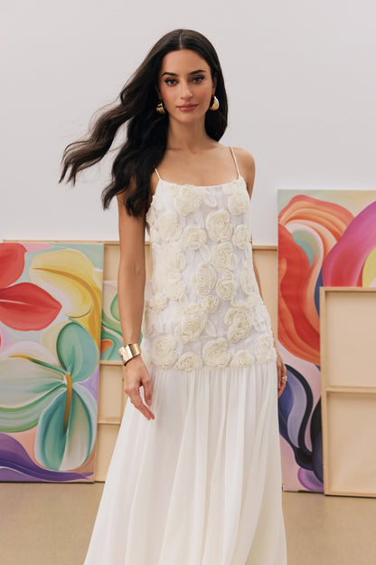 Andrea Floral Applique Pleated Chiffon Maxi Dress