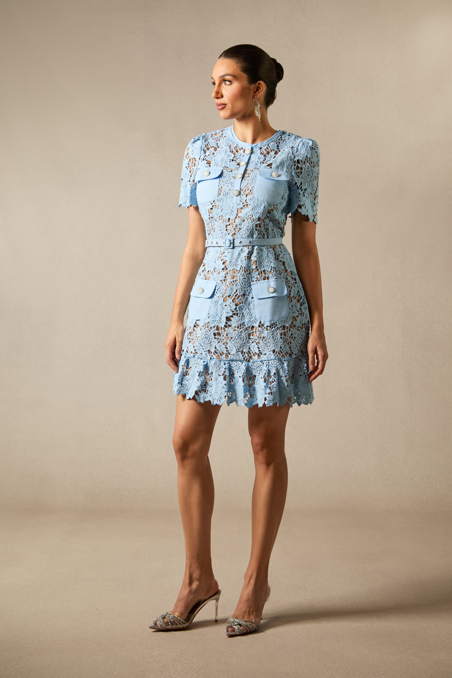 Renata Floral Embroidered Lace Mini Dress