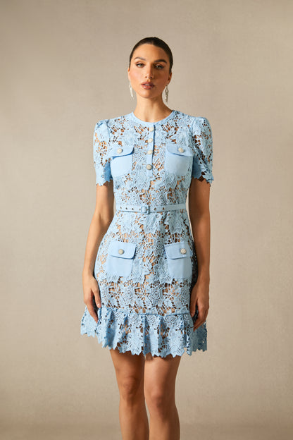 Renata Floral Embroidered Lace Mini Dress