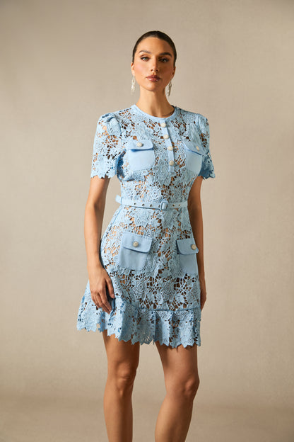 Renata Floral Embroidered Lace Mini Dress