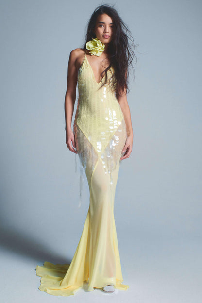 Sequin V-Neck Mesh Sleeveless Maxi Dress