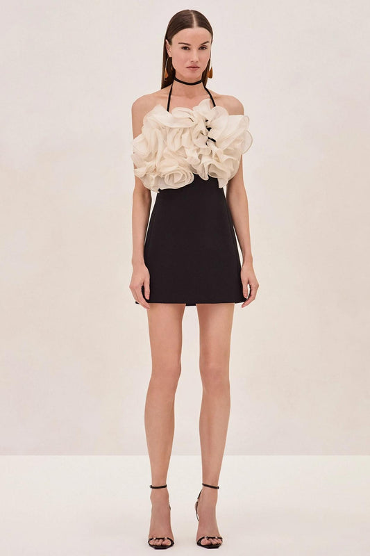 Contrast Color Ruffle Halter Neck Mini Dress