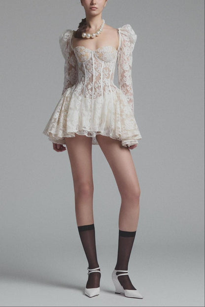 Lace Corset See-Through Mini Dress