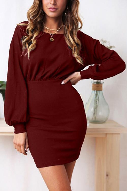 Hubble-bubble Sleeves Mini Dress